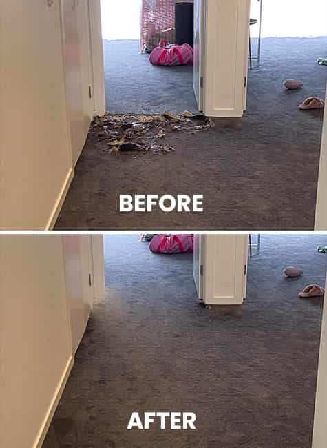 Best Flood Damage Carpet Repair Services