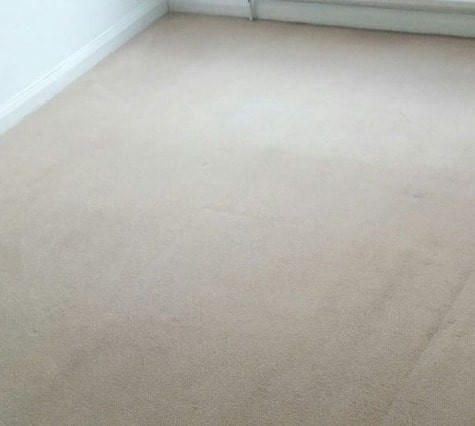 Professional Carpet Cleaning Service Redcliffe