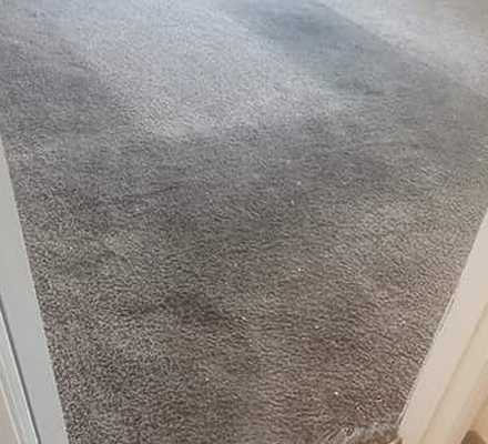 Professional Carpet Repair Gold Coast