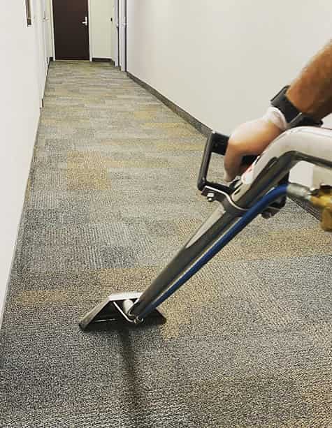 Professional Carpet Cleaning Service In Toowoomba